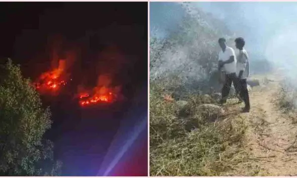 ઈડરના ડુંગરા સળગ્યા: ગંભીરપુરા ડુંગર પર ભીષણ આગ ફાટી નીકળી; વન્યજીવોના જીવ જોખમમાં અને રહેણાંક વિસ્તારોમાં ફફડાટ