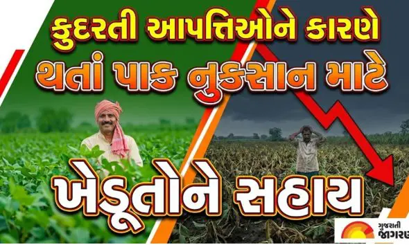 ખેડૂતો માટે મોટા સમાચાર: કુદરતી આપત્તિથી પાક નુકસાન સામે સરકાર ચૂકવશે આર્થિક સહાય; જાણો કોને અને કેવી રીતે મળશે લાભ