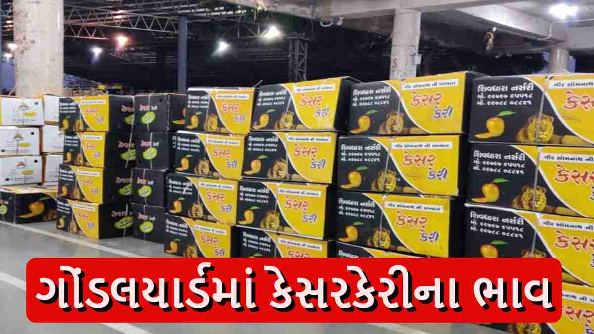 kesar-mango-prices-today-in-gondal-market-yard-05-april-2026-check-latest-rates-per-box-10-kg-20-kg-722127