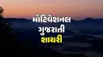 Motivational Shayari Gujarati: પ્રેરણાત્મક શાયરીથી કરો દિવસની ખુશનુમા શરૂઆત, મિત્રો અને પ્રિયજનોને મોકલો શુભ સવારના સંદેશા