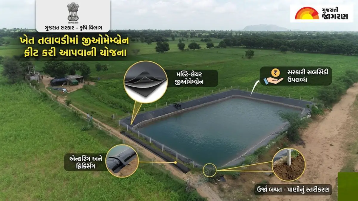 Gujarat Government Scheme: ખેડૂતોને ખેત તલાવડીમાં સરકાર કરી આપશે ફ્રી જીઓમેમ્બ્રેન ફીટ; પાક બચાવવા અને સિંચાઈ માટે મળશે મોટી મદદ