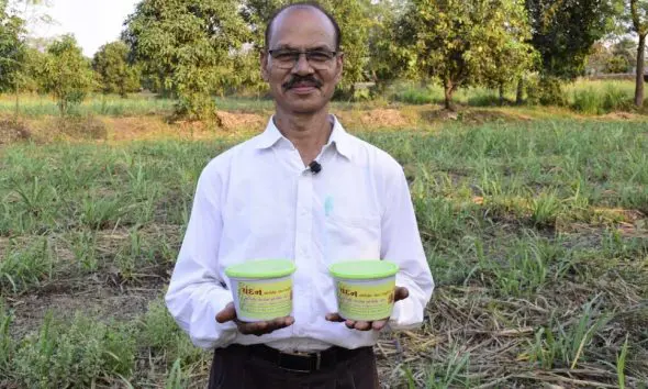 નિવૃતિ પછી નવી કેડીઃ તાપીના નાનસિંગભાઈ ચૌધરીના 'પ્રાકૃતિક ગોળ'ની મીઠાશ સાત સમુદ્ર પાર