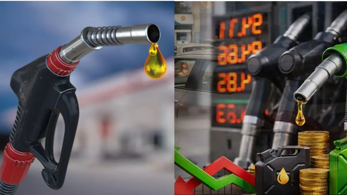 Premium Petrol vs Normal Petrol: પ્રીમિયમ પેટ્રોલ અને સાદા પેટ્રોલ વચ્ચે શું તફાવત હોય છે? તમારા વાહન માટે કેવી રીતે ઉપયોગી હોય છે