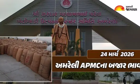 Amreli Market Yard Bhav Today: અમરેલી માર્કેટ યાર્ડના આજના બજાર ભાવ, જાણો કેસર કેરી અને કઇ જણસીનો કેટલો ઉંચો ભાવ બોલાયો