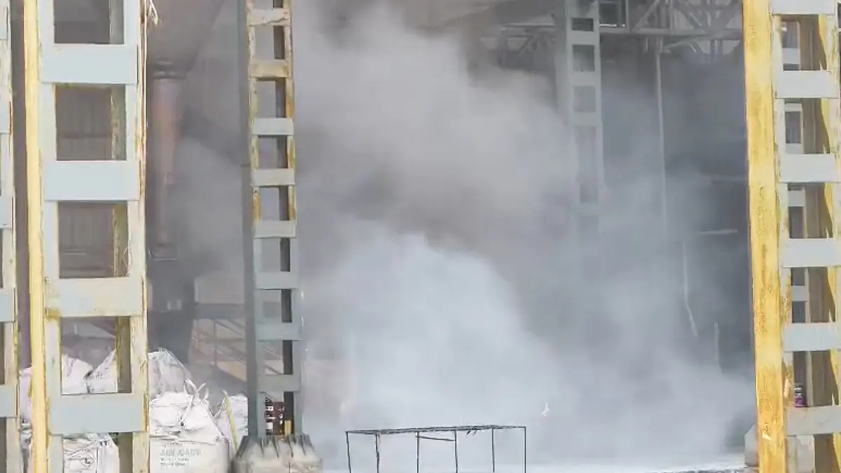 bharuch-news-massive-blast-and-fire-at-panoli-gidc-factory-one-woman-injured-709985