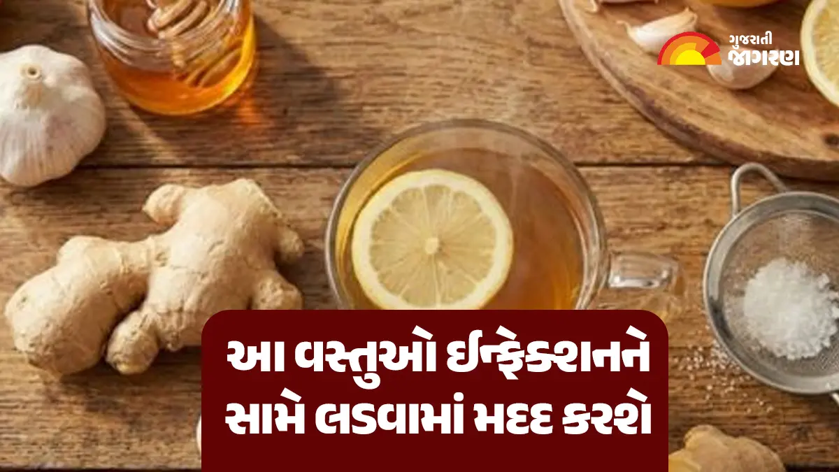 આ ફૂડ શરીરમાં બેક્ટેરિયલ ઈન્ફેક્શનને સામે લડવામાં મદદ કરશે