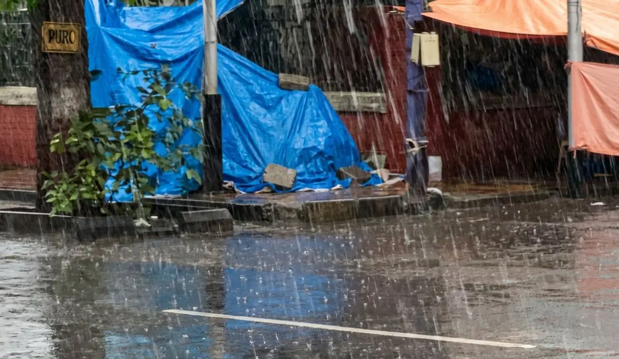 ગુજરાતમાં કુદરતનો મિજાજ બદલાયો: વડોદરા, ચરોતર અને મહિસાગરમાં ભરઉનાળે અષાઢી માહોલ, ખેડૂતો ચિંતાતુર