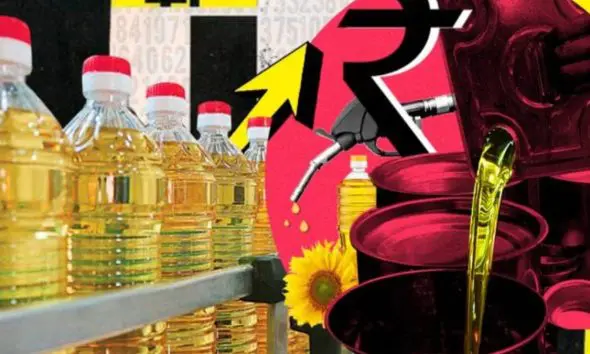 Edible Oil Prices Today: ખાદ્ય તેલમાં આવ્યું મોટું અપડેટ, સીંગતેલ, કપાસીયા અને પામોલીનના ભાવમાં કેટલો થયો ભાવ વધારો તે જાણો