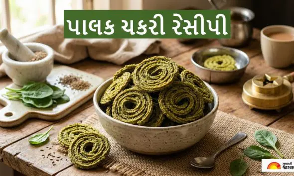 Palak Chakli Recipe: ઘરે બનાવો ચા-કોફી સાથે ખાવા માટે ક્રિસ્પી અને હેલ્ધી પાલક ચકરી,જાણો રેસીપી