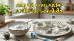 Silver Cleaning Tips: મિનિટોમાં ચમકી ઊઠશે કાળા પડેલા ચાંદીના દાગીના! અજમાવો આ સરળ ઘરેલું ઉપાય
