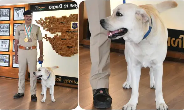 Gujarat Police: 16 વર્ષ બાદ ગુજરાત પોલીસની ઐતિહાસિક સફળતા, રાષ્ટ્રીય સ્પર્ધામાં શ્વાન ‘ચેક’ અવ્વલ; ગોલ્ડ મેડલ જીત્યો