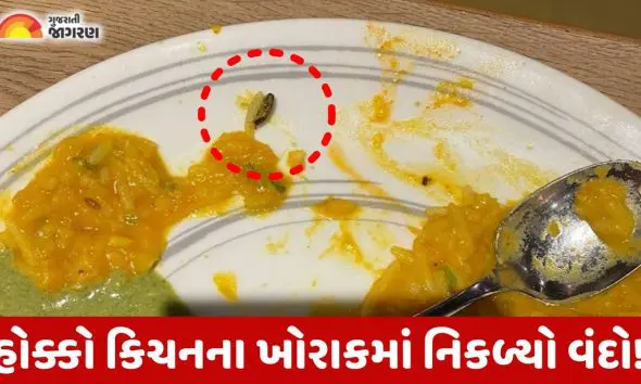 Ahmedabad:નવરંગપુરાના '1944 ધ હોક્કો કિચન' ની ખીચડીમાં નિકળ્યો વંદો, AMC એ ફટકાર્યો દંડ  