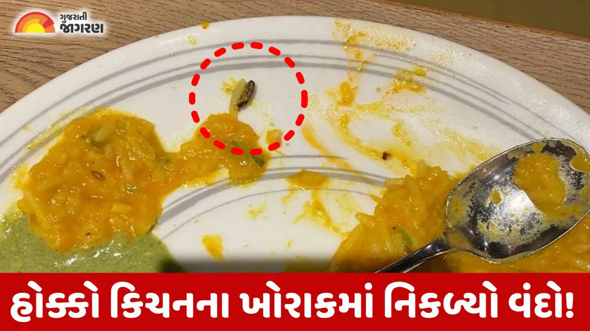 ahmedabad-news-cockroach-found-in-food-of-hocco-kitchen-amc-fined-721960