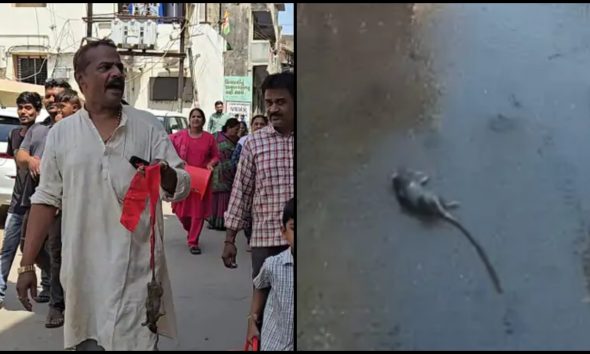 Nadiad News: પીજ ગામે ટેન્કરમાં મરેલો ઉંદર મળતા અંતિમ યાત્રા કાઢી, ગ્રામજનોએ પાણીની સમસ્યા અંગે ઉઠાવ્યા સવાલ