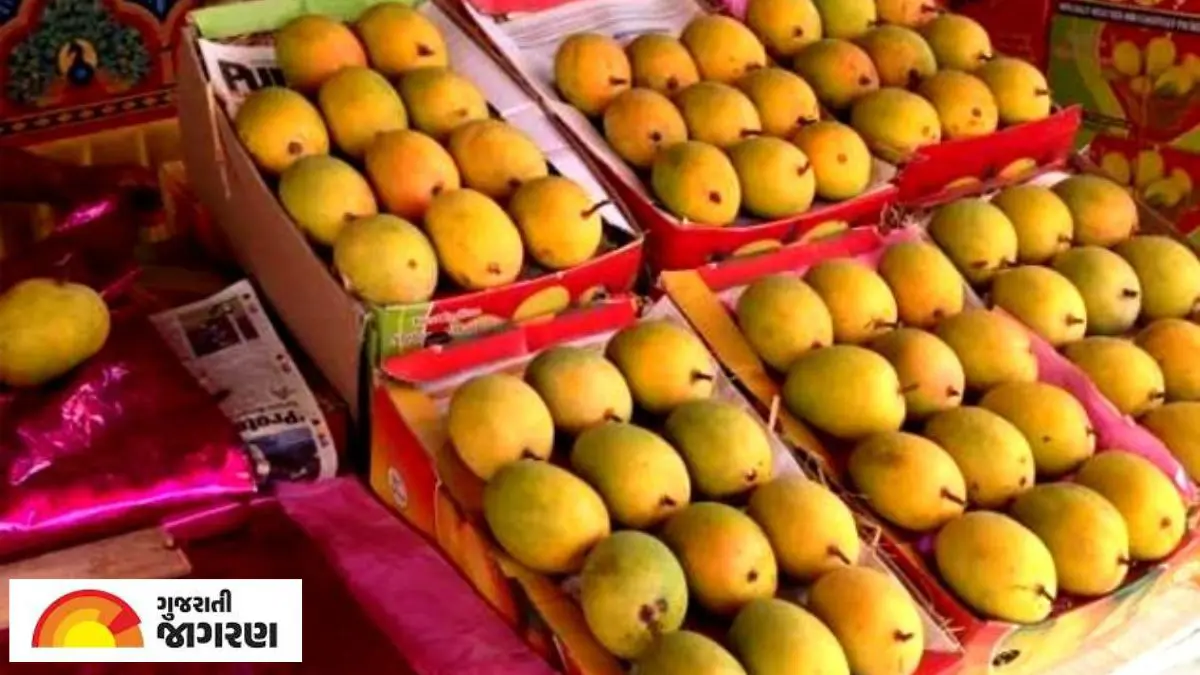 gir-kesar-mango-export-price-hike-war-impact-usa-uk-rates-728429