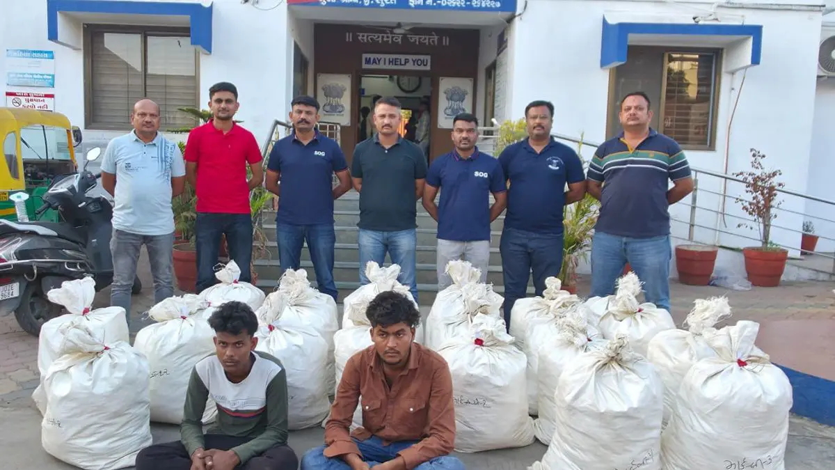 surat-news-marijuana-rs-1-76-crore-seized-sog-police-marijuana-728483