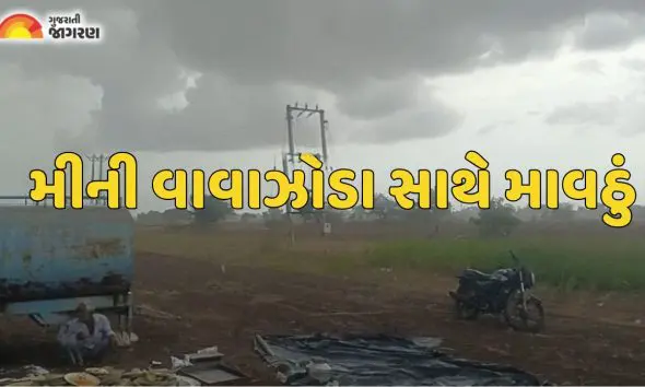Unseasonal Rain: સૌરાષ્ટ્રમાં મીની વાવાઝોડા સાથે માવઠું, ભરઉનાળે કમોસમી વરસાદથી ખેડૂતોની ચિંતા વધી