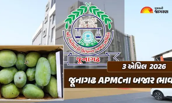 Junagadh Market Yard Bhav Today: જૂનાગઢ માર્કેટ યાર્ડના આજના બજાર ભાવ, જાણો કઇ જણસીનો કેટલો ઉંચો ભાવ બોલાયો