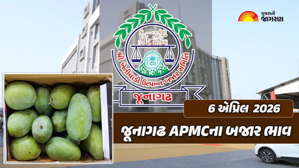 Junagadh Market Yard Bhav Today: જૂનાગઢ માર્કેટ યાર્ડના આજના બજાર ભાવ, જાણો કઇ જણસીનો કેટલો ઉંચો ભાવ બોલાયો