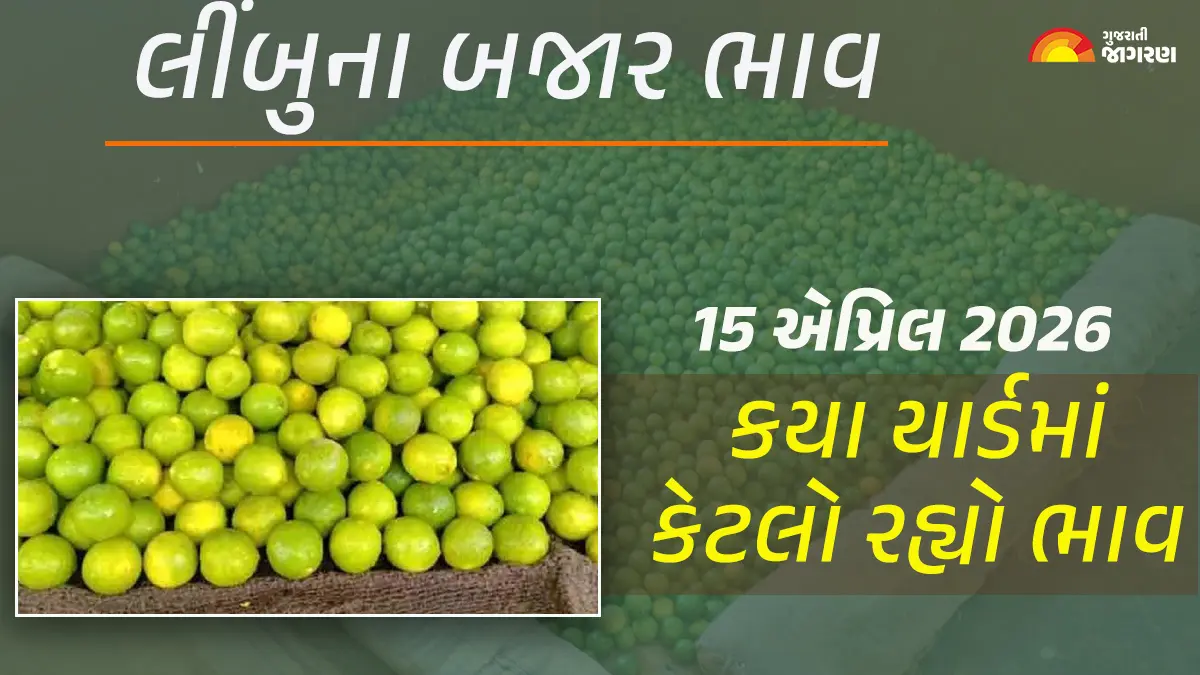 lemon-price-today-in-gujarat-april-15-2026-latest-lemon-mandi-prices-live-updates-728389
