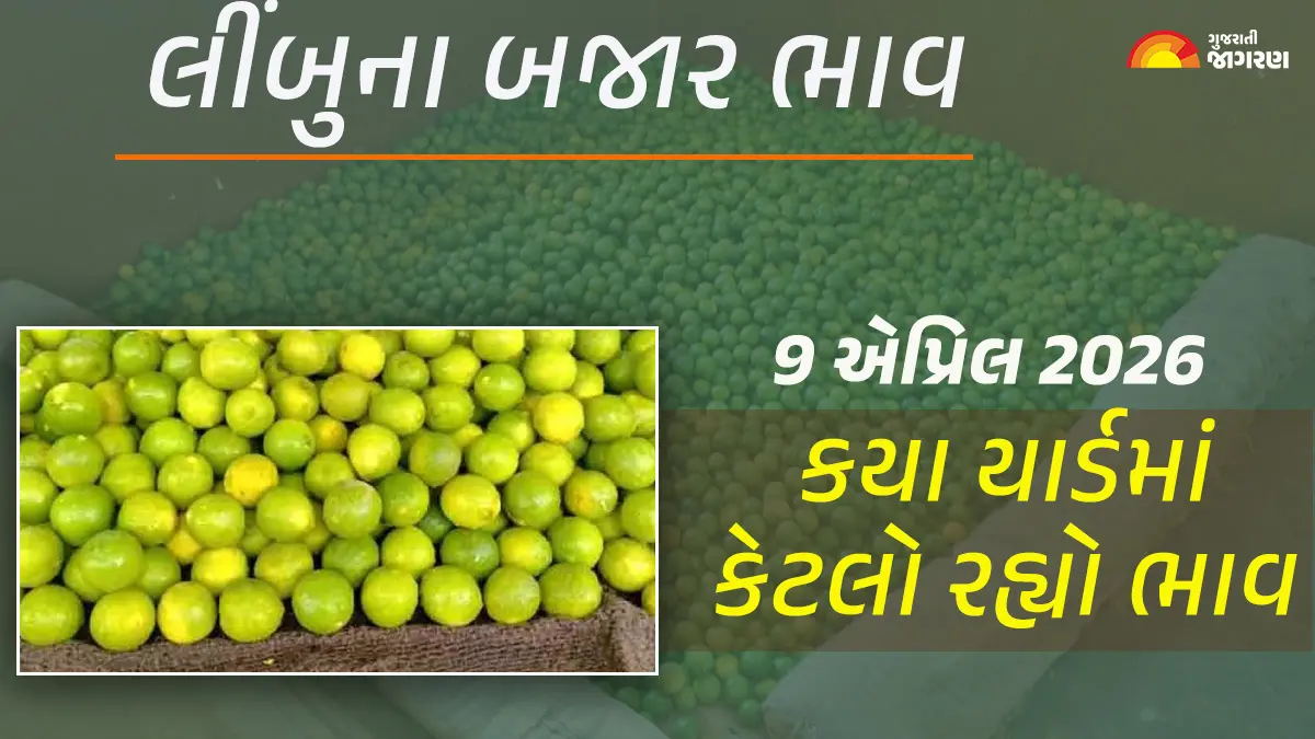 Lemon Price Today in Gujarat, April 09, 2026: ગુજરાતમાં લીંબુના આજના બજાર ભાવ, જાણો કયા યાર્ડમાં ઊંચા-નીચા ભાવ શું રહ્યા?