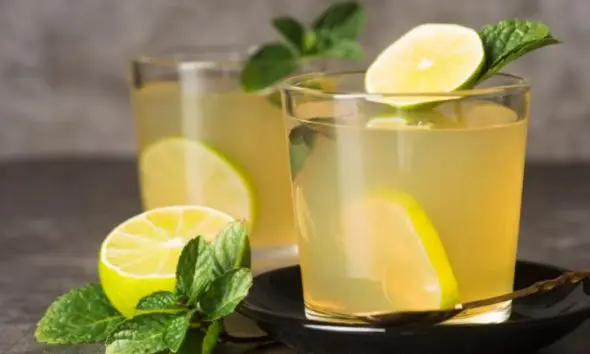 Lemon Water: લીંબુ પાણીને લીધે શરીરમાં કેવી અસર થાય છે, આ નેચરલ ડ્રીંકનું કેવી રીતે અને ક્યારે સેવન કરવું?
