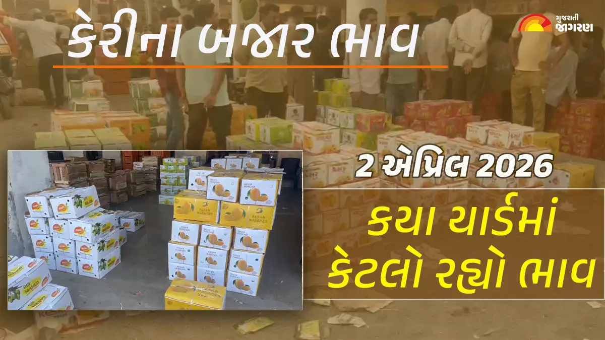 Kesar Mango Price in Gujarat: ગુજરાતમાં કેસર, હાફૂસ સહિતની કેરીના આજના બજાર ભાવ, જાણો કયા યાર્ડમાં કેટલો ભાવ બોલાયો