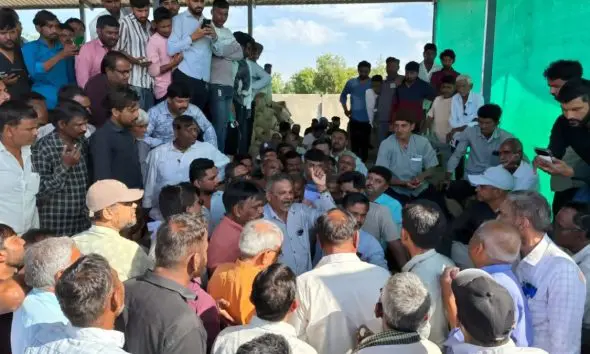 પાટણ સબયાર્ડમાં તમાકુના 'સોના' જેવા ભાવ: પ્રથમ દિવસે જ રુ. 2326નો ભાવ મળતા ખેડૂતોમાં ખુશીની લહેર!