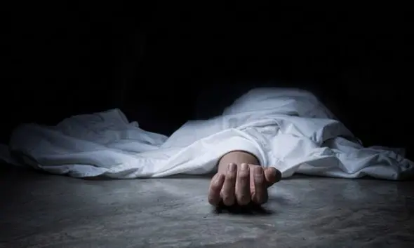 Bhavnagar: ભાલ પંથકના સનેસમાં પગપાળા જતાં શ્રદ્ધાળુને ટ્રકે અડફેટે લીધો, યુવકનું ઘટના સ્થળે કરુણ મોત, ચાલક ફરાર