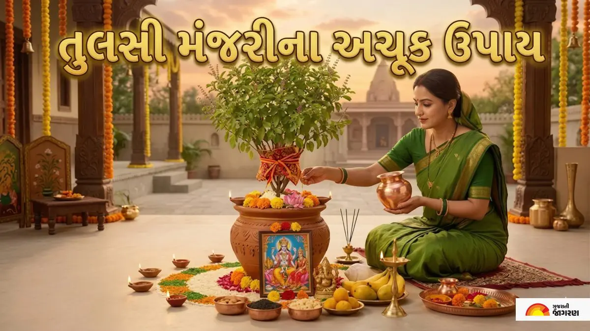સૂકાઈ ગયેલી તુલસીની મંજરી બદલી શકે છે તમારું ભાગ્ય; જાણો તિજોરી ભરેલી રાખવાના બે અચૂક ઉપાયો!
