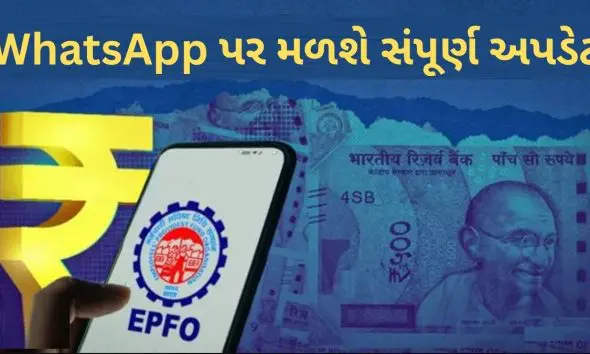 epfo-launched-service-by-typing-hello-you-will-get-complete-informantion-about-pf-on-whatsapp-know-how-this-facility-work