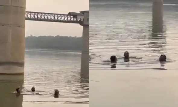 anand-news-young-doctor-who-fell-into-the-mahisagar-river-from-a-moving-train-died