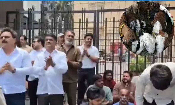 tension-prevails-on-mira-road-near-mumbai-ahead-of-bakri-eid-goats-removed-from-housing-society-tight-police-security