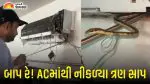 બાપ રે! ઘરના AC માંથી નીકળ્યા ત્રણ સાપ, વલસાડના પારડીની અચરજ પમાડે તેવી ઘટના