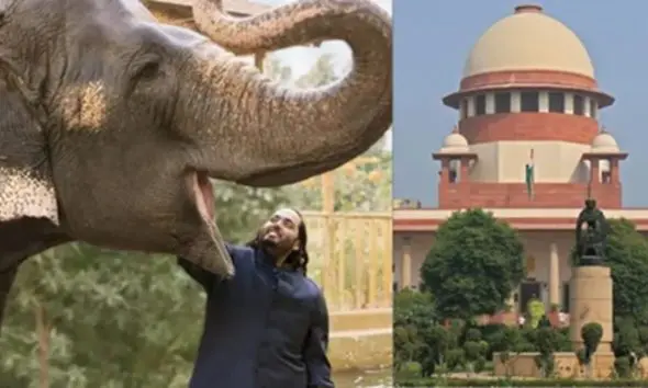 supreme-court-dismisses-petition-against-vantara-wildlife-conservation