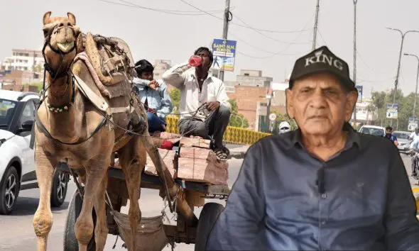 ambalal-patel-ni-agahi-heatwave-alert-in-gujarat-scorching-heat-now-rain