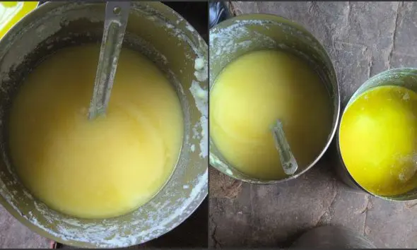 devbhoomi-dwarka-news-khambhalia-adulterated-ghee-food-department-raid-action
