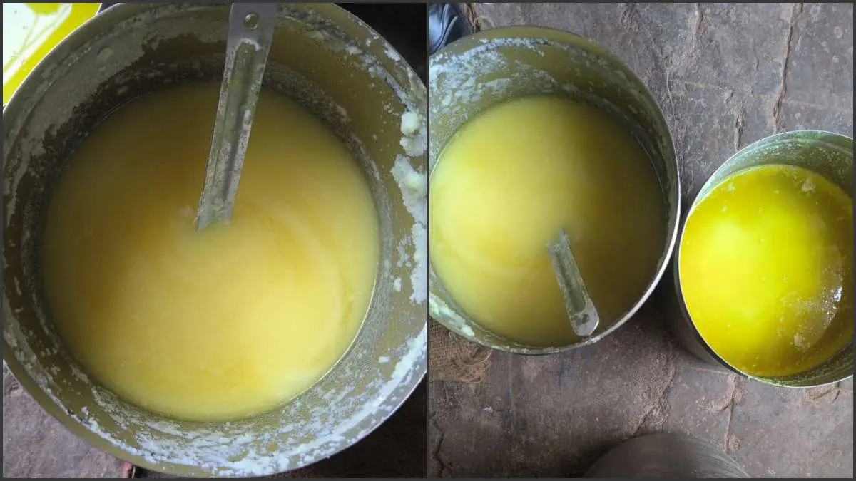 devbhoomi-dwarka-news-khambhalia-adulterated-ghee-food-department-raid-action