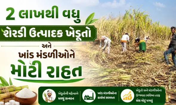 gandhinagar-news-gujarat-government-approves-sugarcane-prices-paid-to-farmers-by-sugar-companies-from-2007-to-2015