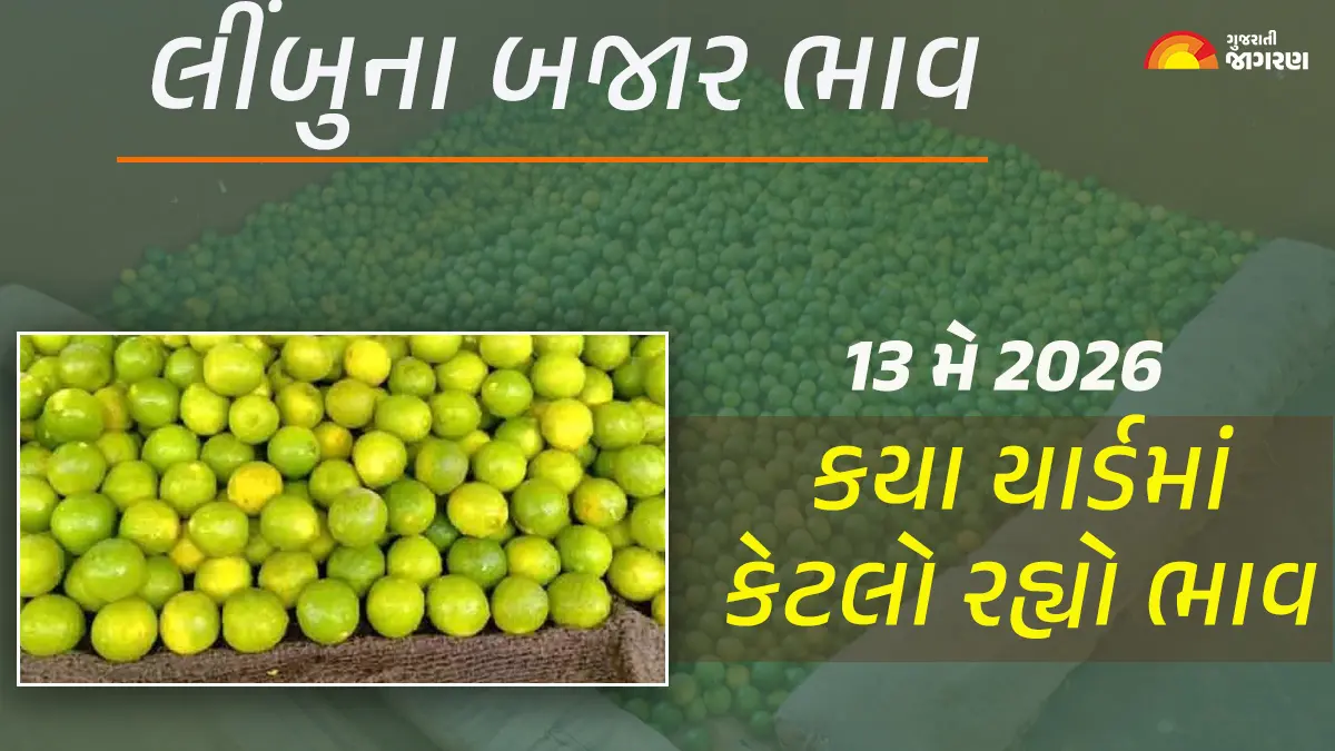 Lemon Prices in Gujarat (13 May 2026): ગુજરાતમાં 18 યાર્ડના લીંબુના આજના બજાર ભાવ, જાણો કયા યાર્ડમાં ઊંચા-નીચા ભાવ શું રહ્યા?