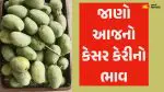 અમદાવાદમાં આજે કેરીના ભાવ: વરસાદ ખેંચાતા કેરીના ભાવમાં ફરી ઉછાળો, જાણો લેટેસ્ટ ભાવ