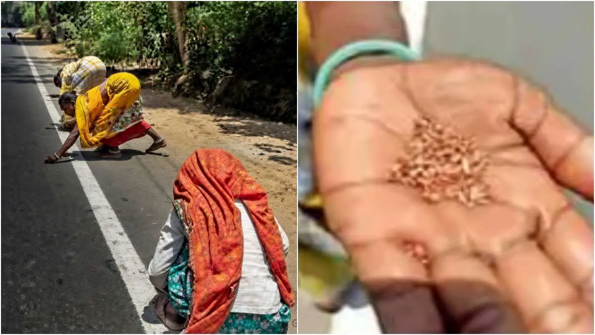 valsad-news-umargam-daman-highway-gold-rumor-copper-scrap-collection-people-ru