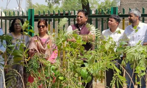 ahmedabad-vatva-sabarmati-railway-green-corridor-amc-tree-plantation-target