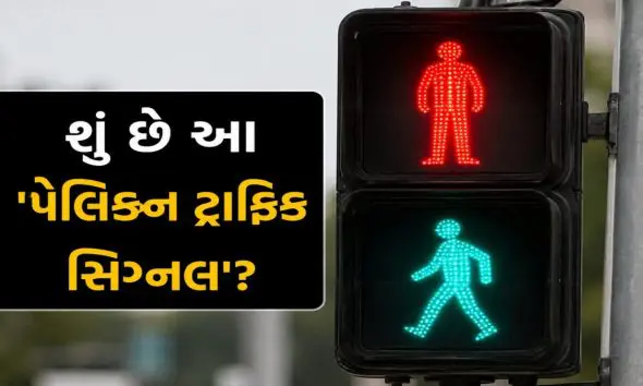 what-is-a-pelican-traffic-signal-and-how-does-this-system-work