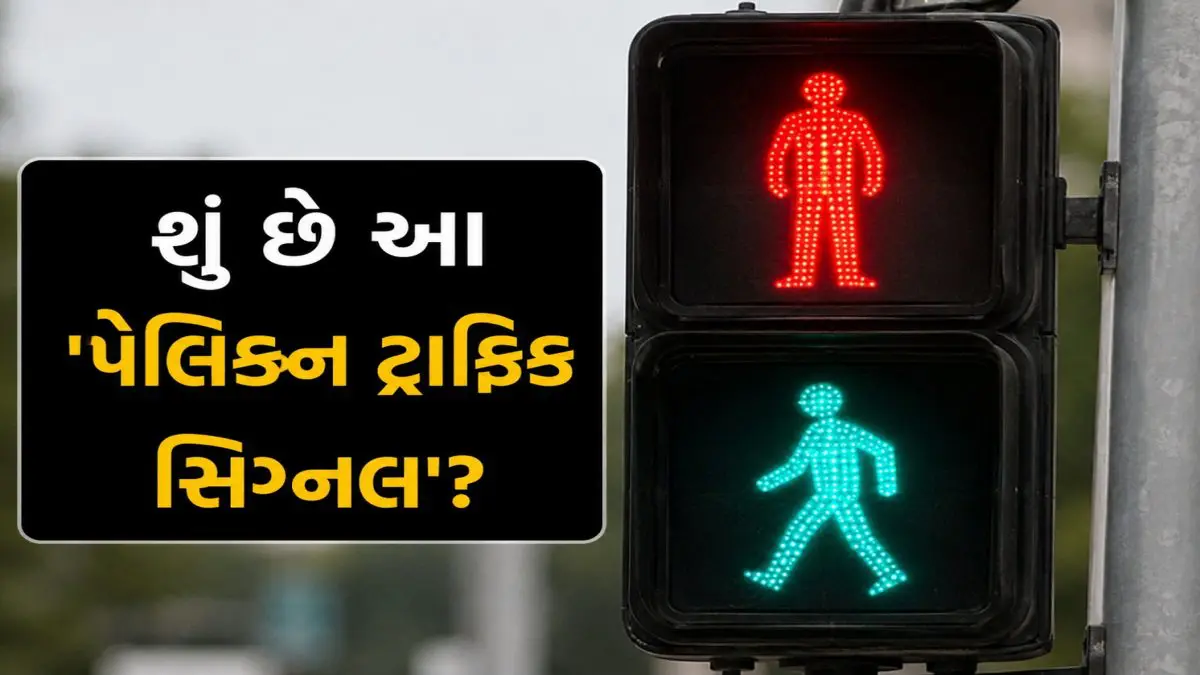 what-is-a-pelican-traffic-signal-and-how-does-this-system-work