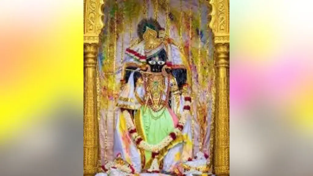 naidunia_image