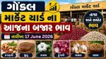 Gondal APMC Price: ગોંડલ માર્કેટિંગ યાર્ડના આજના બજાર ભાવ: ટમેટા, મરચા, લીંબુ અને ચીકુના ભાવ જાણો