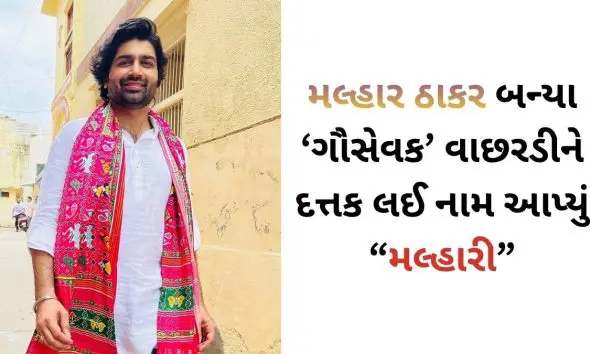 malhar-thakar-adopts-kankrej-cow-and-calf-named-malhari