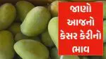 અમદાવાદમાં આજના કેરીના ભાવ: વાદળા આવતા ભાવમાં જોવા મળી વધઘટ, જાણો લેટેસ્ટ રેટ