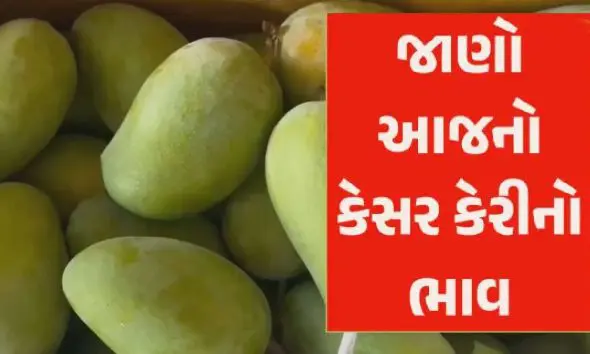 kesar-mango-price-ahmedabad-12-june-2026